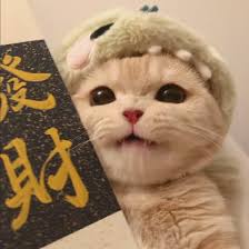 Ảnh đại diện người dùng Hoàng Yến
